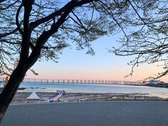 -大连圣亚海洋世界