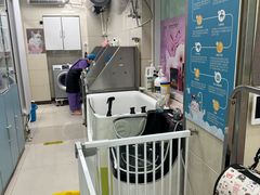 -北京观赏动物医院·24小时大型综合·猫专科·异宠专科