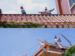 -厦门老院子景区