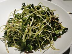 鸡油豆苗-羲和雅苑•北京烤鸭(国贸商城店)