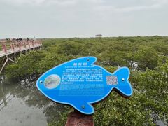 -北海金海湾红树林生态旅游区