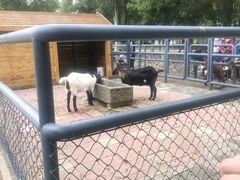 -长白岛森林公园