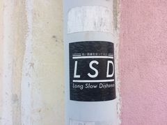 -槟城街头艺术街区