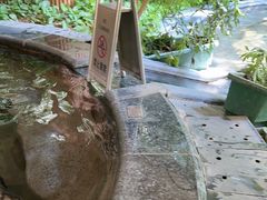 -碧水湾温泉