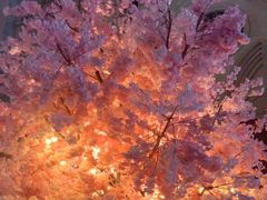 -爱丽丝牛排西餐厅(光谷步行街店)