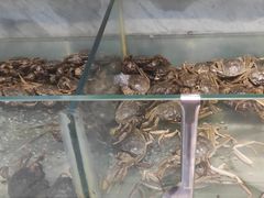 -川骄海鲜自助(河东店)