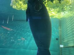 -泉城欧乐堡水上世界