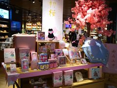-九木杂物社(恒隆广场店)