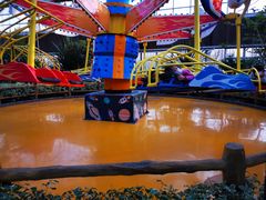 -南宫五洲植物乐园