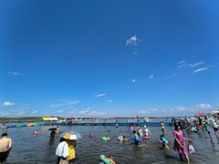 -呼兰河口湿地公园