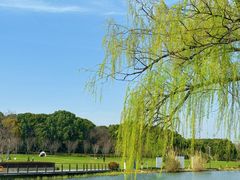 -昆山城市生态森林公园