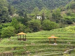 -石台牯牛降景区