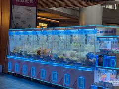 -龙湖杭州滨江天街
