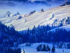 -北极村旅游风景区