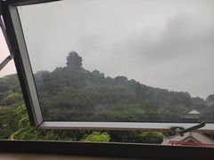 -七欣天香辣蟹火锅(南京建宁路大观天地店)