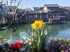 -乌镇西栅景区