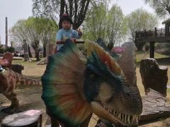 -南通洲际绿博园