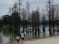 -南宁花花大世界景区