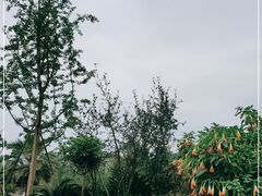-枫香湖儿童公园
