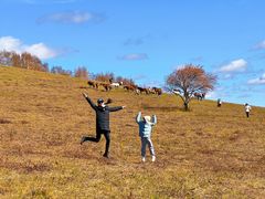 -御道口草原森林风景区