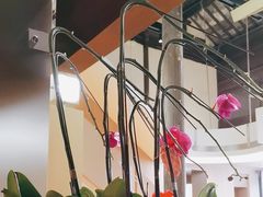 -新万鑫银丝面·非遗无锡味(惠山古镇店)