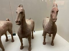 -中国港口博物馆