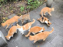 -敬亭山风景名胜区