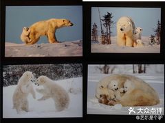-罗红摄影艺术馆