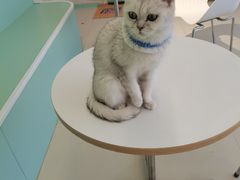 -怪兽屋·羊驼·猫咖·狗咖(俊华广场店)