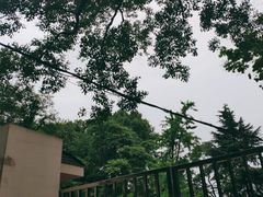 -菊花台公园