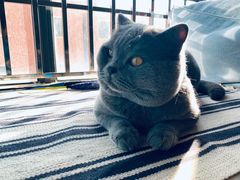 -KKV(深圳宏发大仟里店)