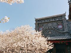 门面-老张烤羊(王哥庄店)