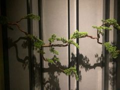 -璞·澐间影院式足道SPA(尚悦湾店)