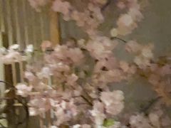 -汤森悠生活文化汤(江宁万达店)