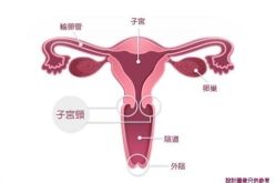 -邢台妇产医院