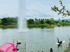 -星湖特色餐厅· 三岔湖环球融创天堂洲际酒店