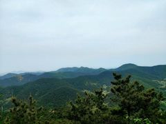 -金龙寺国家森林公园