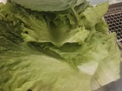 生菜-马路牙子烧烤音乐酒馆(望京店)