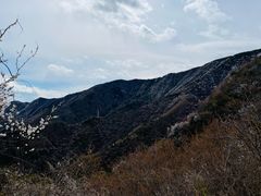 -北京鹫峰国家森林公园