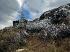 -苏木山森林公园