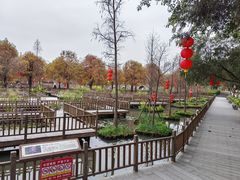 -五缘湾湿地公园