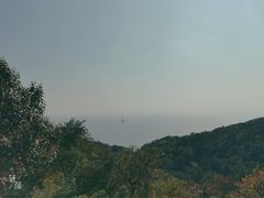 -燕窝岭