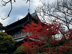 -龙华寺