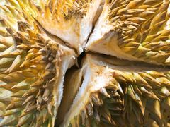 -麦德龙(郑东店)