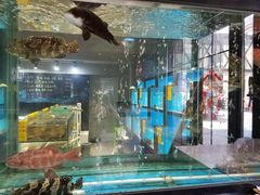 -蓝鲸(国浩路店)