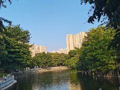 -荔湾湖公园