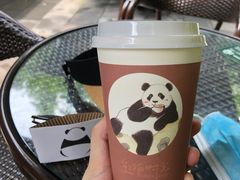 -都江堰中华大熊猫苑