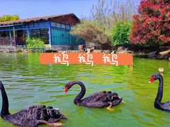 -无锡动物园·太湖欢乐园