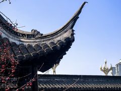 -梅园