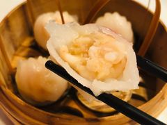 -金鼎轩(亚运村店)